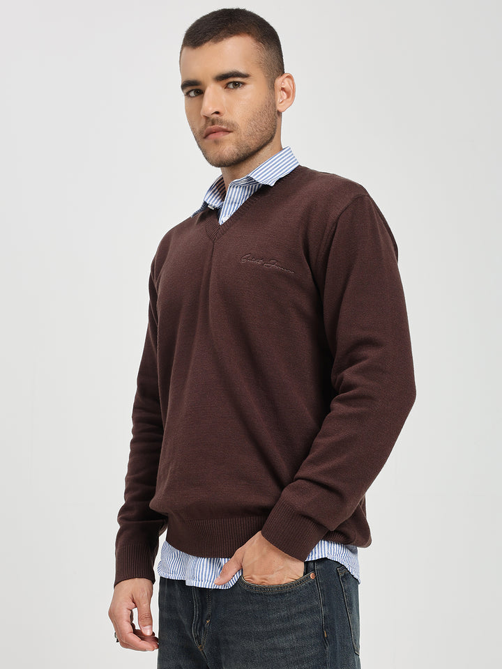 Men’s Rich Brown V-Neck Sweater