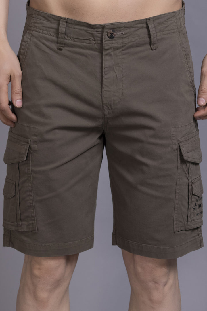 Men brown Regular Fit Cargo Shorts