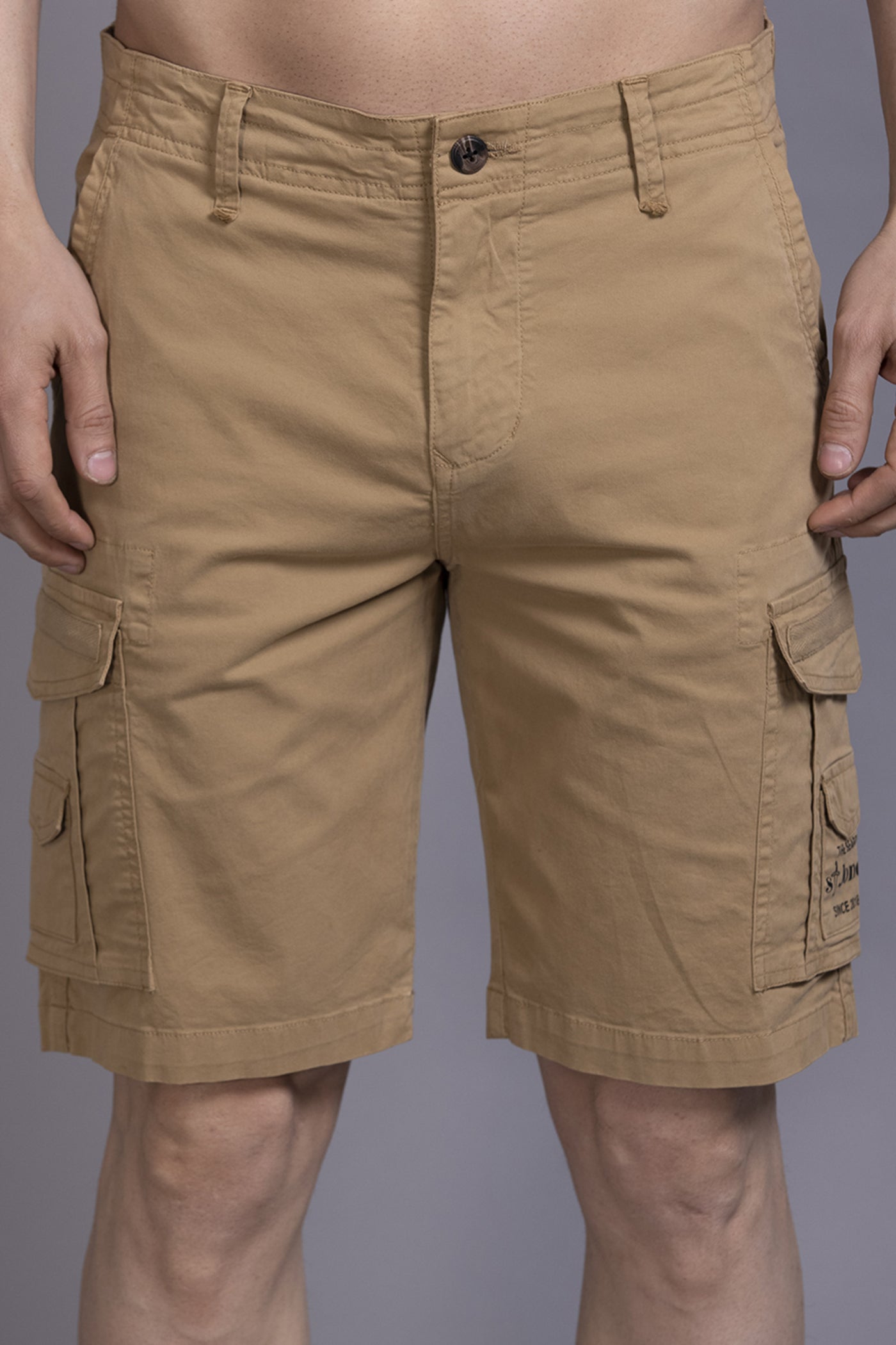 Men Beige Regular Fit Cargo Shorts